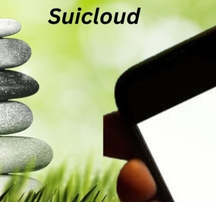 Suicloud