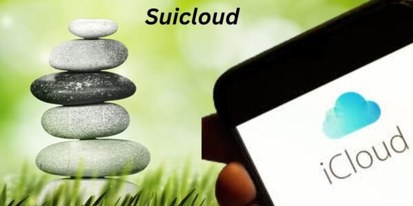 Suicloud